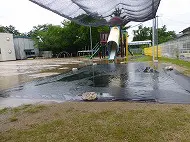 臨時休園
