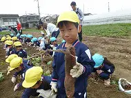 お芋掘り遠足　その２