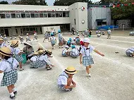 運動会　前日　石拾い