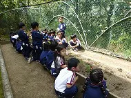 野菜の植付　年長