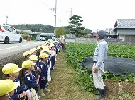 お芋掘り遠足　年中